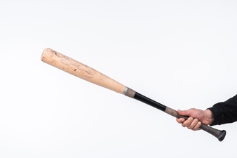 best baseball bats