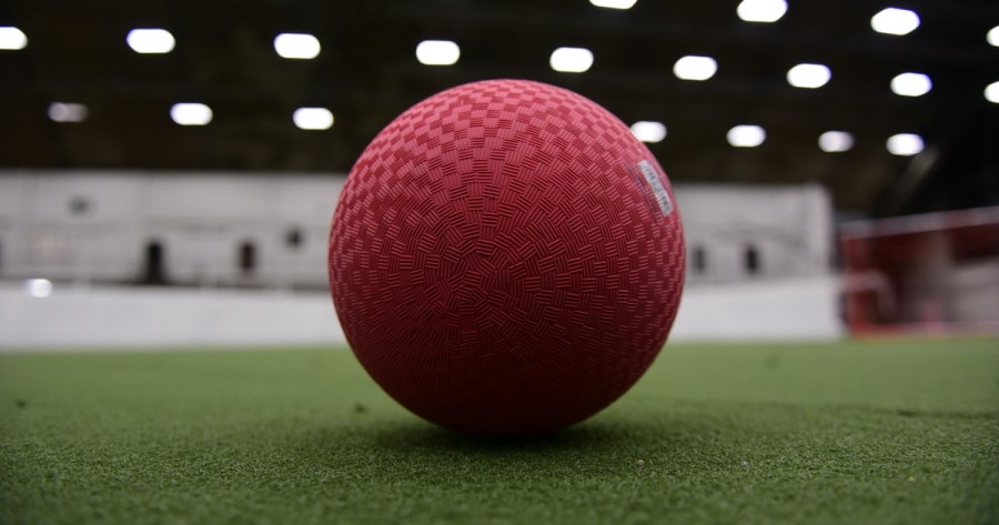 dodgeball ball