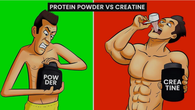 Protein